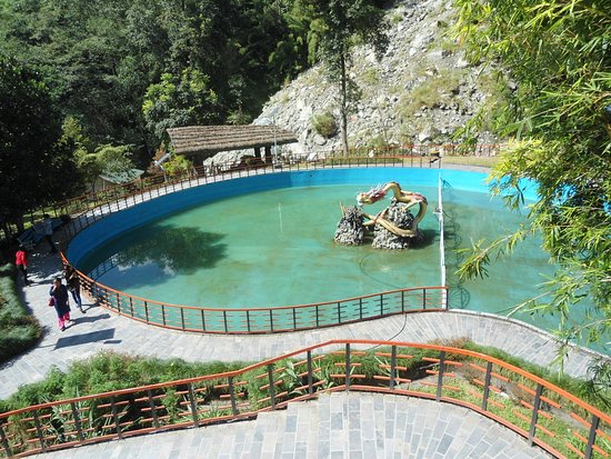 Havuz Tipi Doğal Gölet